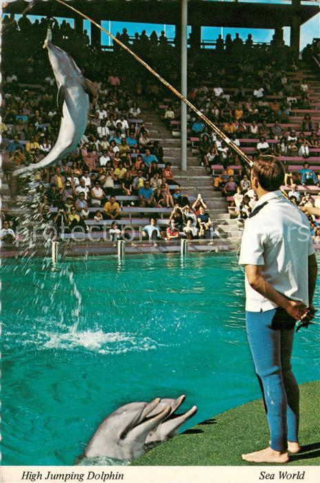 73751188 San Diego Californie Dauphin sauteur en hauteur Sea World