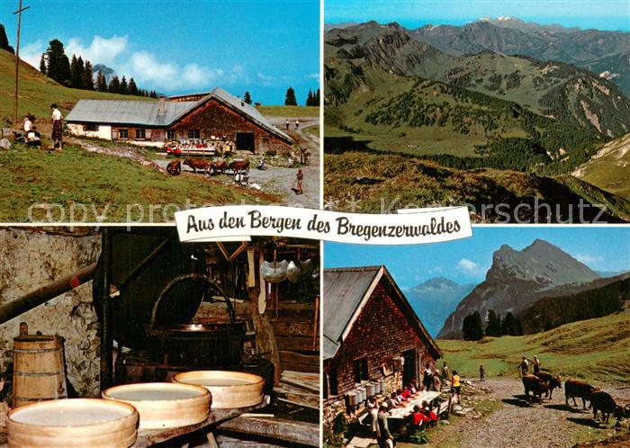 73756389 Vorarlberg Alpsennerei im Bregenzerwald Alpenpanorama