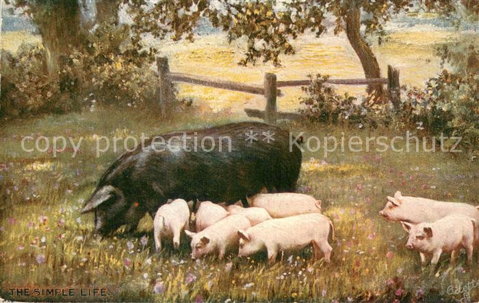 73814849 Verlag Tucks Oilette Serie 9483 The Simple Life Schweine