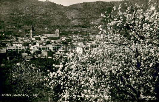 73769040 Soller Mallorca Panorama