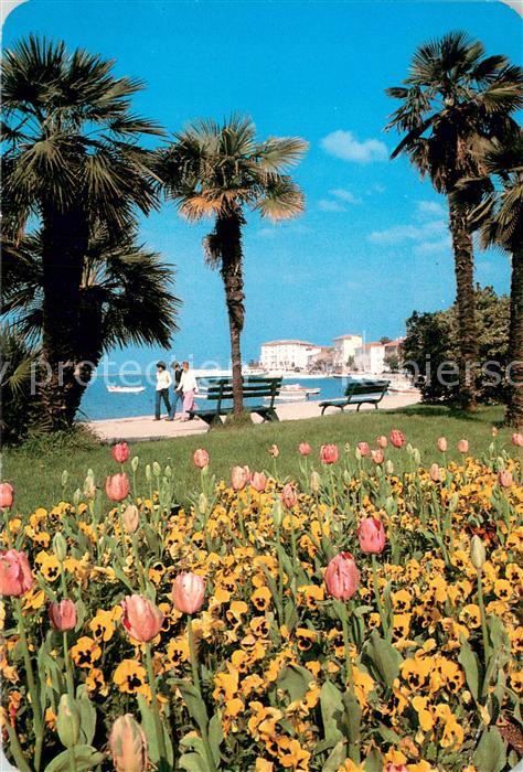 73774508 Porec Croatia Uferpromenade Tulpenbeet Palmen