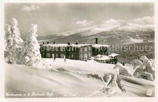 73777489 Riesengebirge Krkonose Karkonosze Peterbaude Winterpanorama