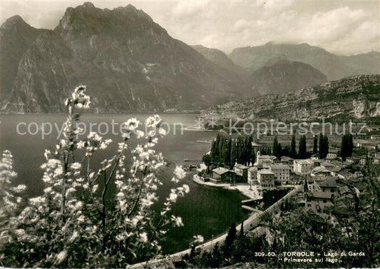 73781258 Torbole Lago di Garda IT Primavera sul lago