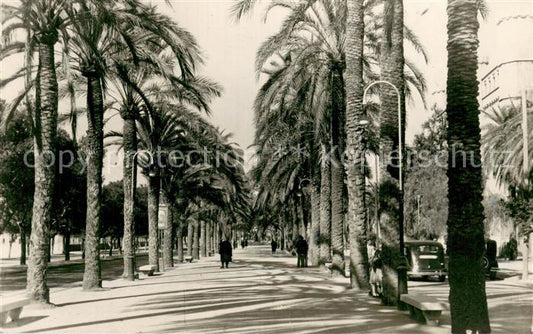 73786225 Palma de Mallorca Paseo de Sagrera