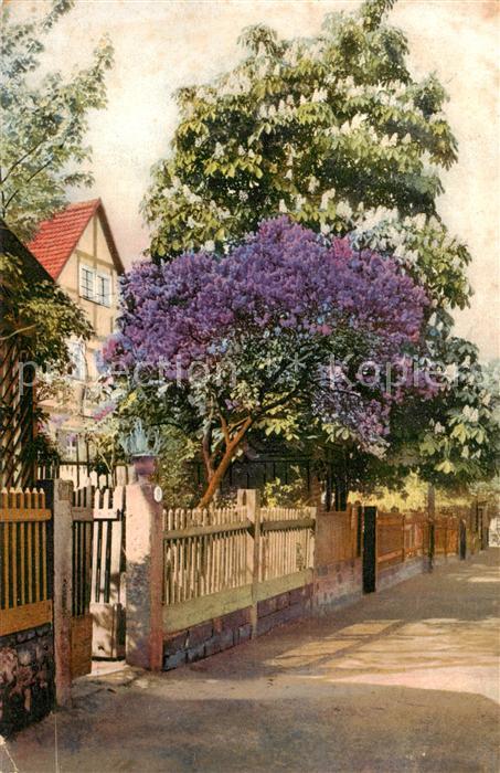 73892404 Verlag Baum Strasse Litho