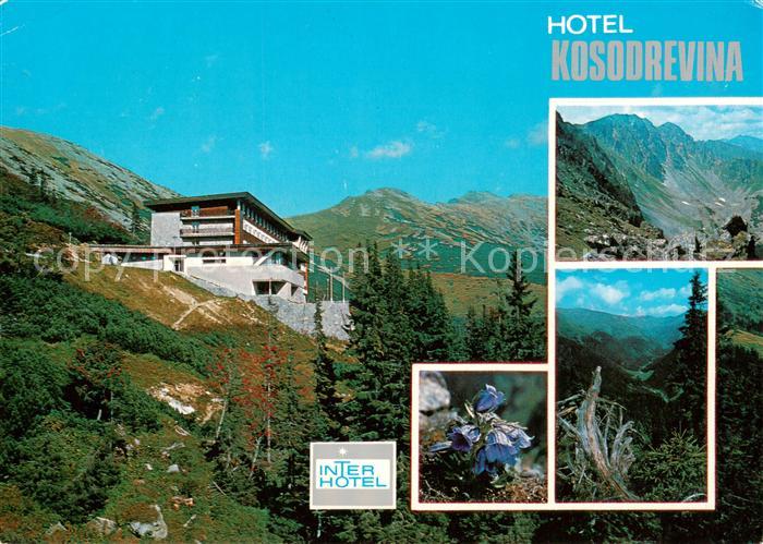 73801872 Nizke Tatry Slovakia Hotel Kosodrevina Dumbier Zvoncek alpsky Lomnista