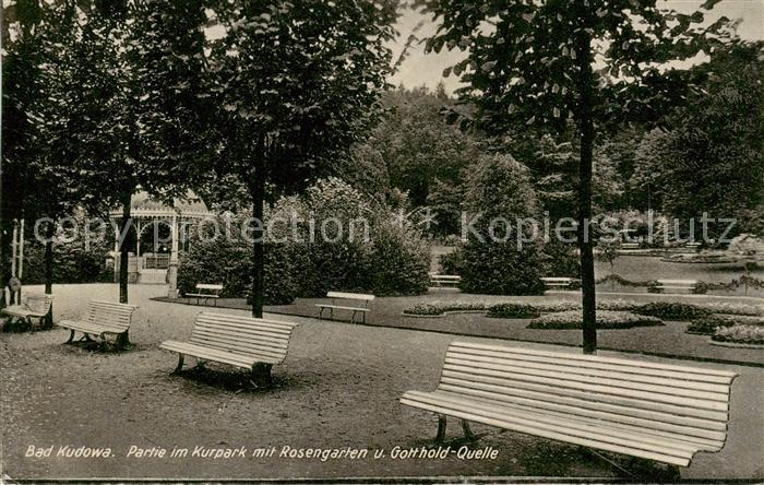 73805511 Bad Kudowa Kudowa-Zdroj Niederschlesien PL Partie im Kurpark mit Roseng