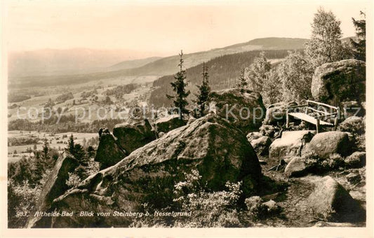 73805621 Altheide Bad Schlesien PL Landschaftspanorama Blick vom Steinberg beim