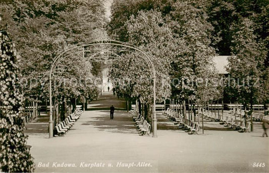 73805883 Bad Kudowa Kudowa-Zdroj Niederschlesien PL Kurplatz und Hauptallee