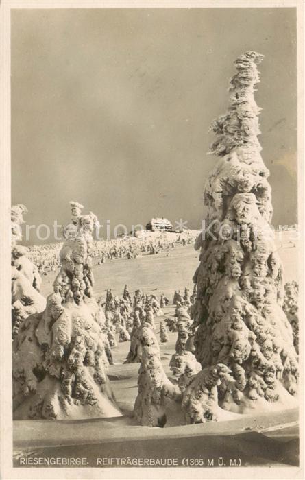 73805919 Schreiberhau Szklarska Poreba Riesengebirge PL Reiftraegerbaude Winterl