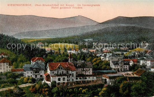 73806006 Ober-Krummhuebel Karpacz Riesengebirge PL Panorama Hotel Goldener Fried