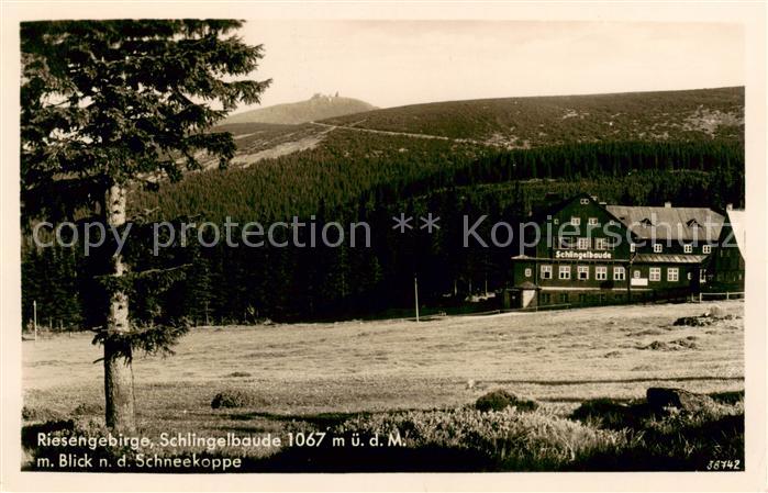 73810008 Riesengebirge Krkonose Karkonosze Schlingelbaude mit Schneekoppe