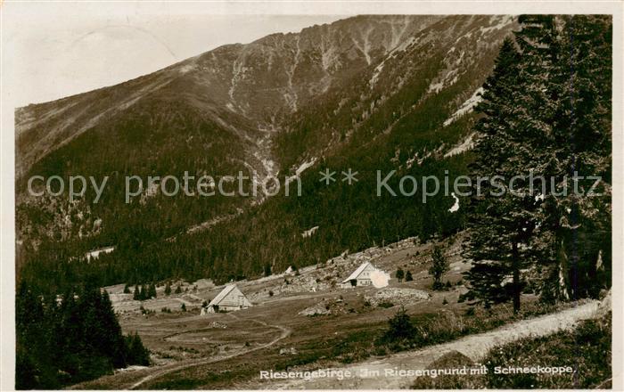 73818399 Riesengebirge Krkonose Karkonosze Im Riesengrund mit Schneekoppe