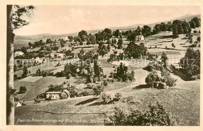 73818441 Hain  Giersdorf Riesengebirge Podgorzy PL Panorama mit Schneekoppe