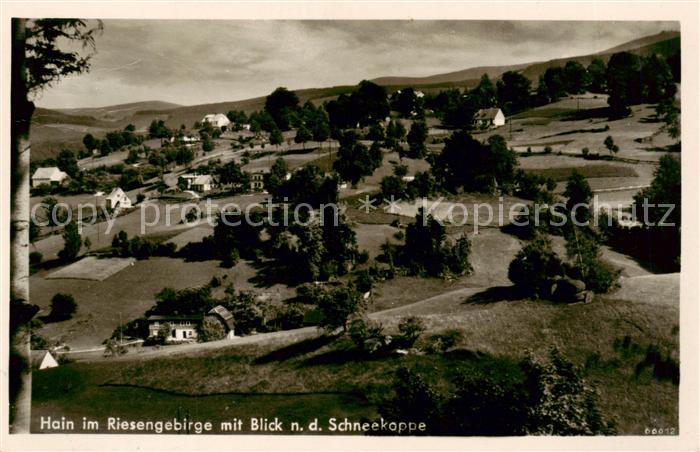 73818793 Hain  Giersdorf Riesengebirge Podgorzy PL mit Blick zur Schneekoppe