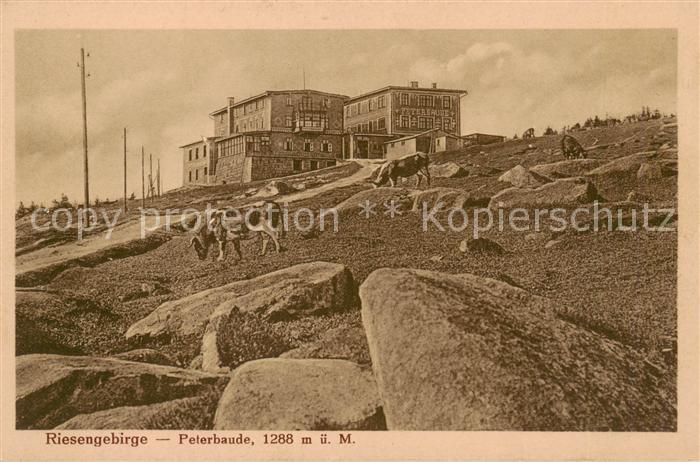 73818795 Riesengebirge Krkonose Karkonosze Peterbaude