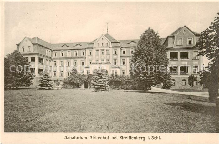 73818818 Greiffenberg Lwowek Slaski Schlesien PL Sanatorium Birkenhof