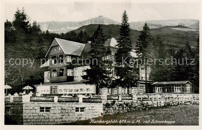 73819814 Hain  Giersdorf Riesengebirge Podgorzy PL Hainbergshoeh mit Schneekoppe