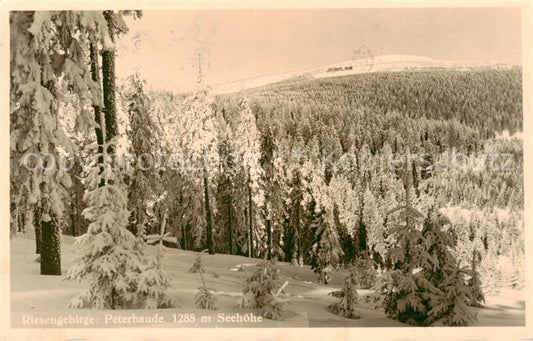 73820142 Riesengebirge Krkonose Karkonosze Peterbaude Panorama