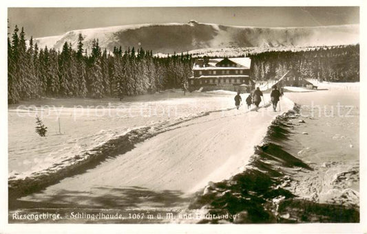 73820184 Riesengebirge Krkonose Karkonosze Schlingelbaude und Teichraender