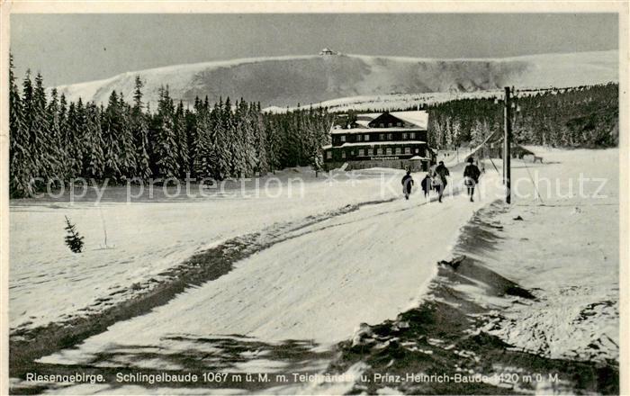 73820187 Riesengebirge Krkonose Karkonosze Schlingelbaude mit Teichraendern und