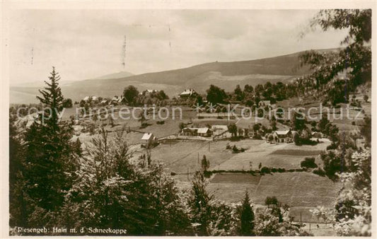 73823403 Hain  Giersdorf Riesengebirge Podgorzy PL Panorama mit der Schneekoppe