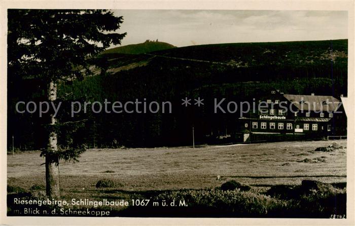 73823700 Riesengebirge Krkonose Karkonosze Schlingelbaude mit Schneekoppe