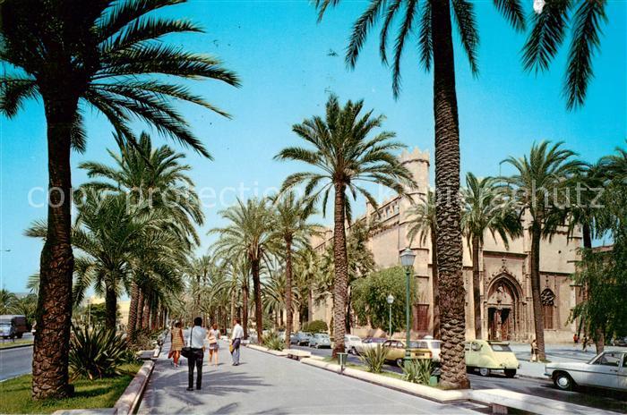 73826195 Palma de Mallorca ES Paseo Sagrera La Lonja