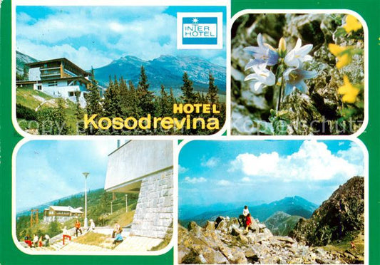 73838167 Nizke Tatry Slovakia Hotel Kosodrevina Zvoncek zihlavolisty Medzistanic