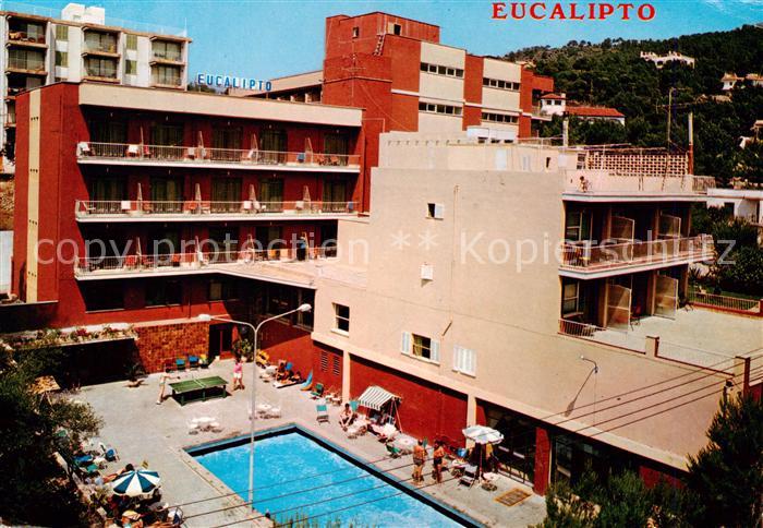 73841466 Paguera Mallorca Islas Baleares ES Hostal Eucalipto