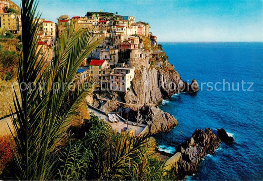 73843339 Manarola Liguria IT Panorama Kuestenort Steilkueste Le Cinque Torre