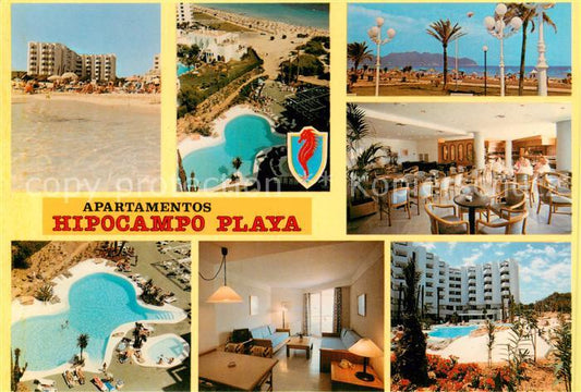 73844130 Cala Millor Mallorca Apartamentos Hipocampo Playa Swimming Pool