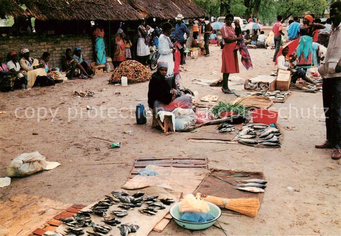 73844149 Katima Mulio Namibia Fischmarkt