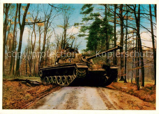 73901280 Militaria Panzer Tank Char d Assaut Panzer M 48