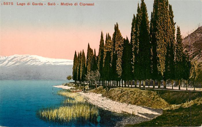 73879121 Salo Lago di Garda IT Motivo di Cipressi