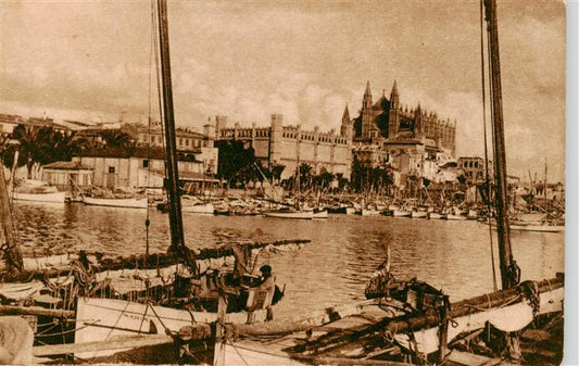 73913759 Palma de Majorque ES Lonja et Cathédrale