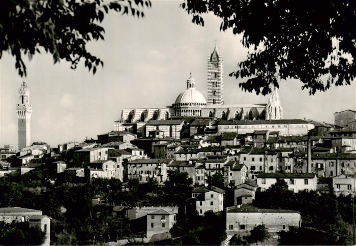 73914518 Siena Toscana IT Panorama dalla Fortezza Medioevale