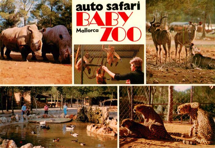 73939179 Zoo Gardin Zoologique-- Auto Safari Ruhe Mallorca Baby Zoo