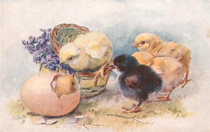 73956960 Publisher Tucks Oilette Series No. 3148 Egg Chicken