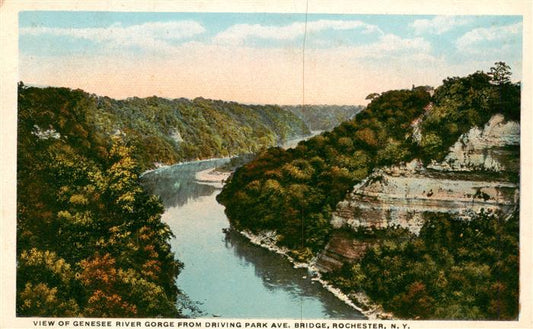 73955764 Rochester New York USA View of Genesee River Gorge from Driving Park Av